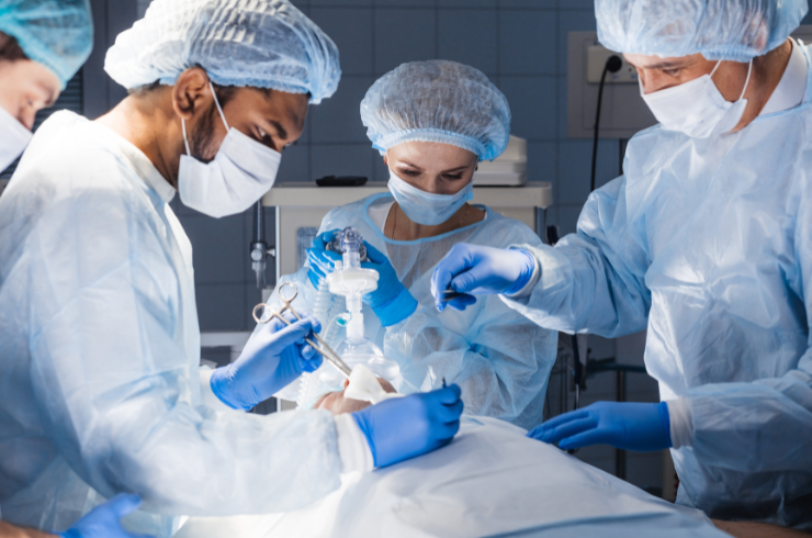 General Surgery / Transplant Surgeons